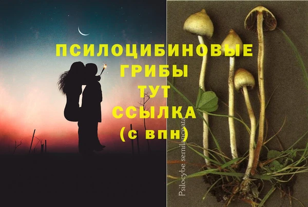 не бодяженный Баксан