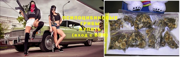 мет Балахна